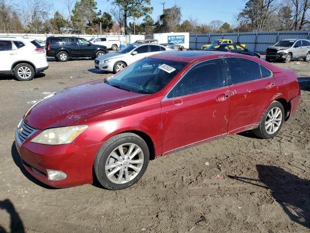 2010 Lexus ES 350