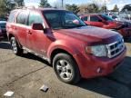 2008 Ford Escape Limited