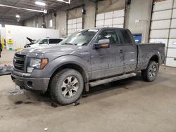 Salvage cars for sale at Blaine, MN auction: 2013 Ford F150 Super Cab