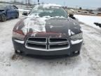 2014 Dodge Charger SXT