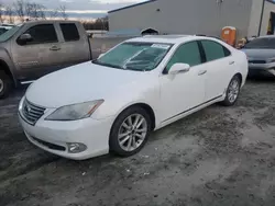 Salvage cars for sale at Spartanburg, SC auction: 2010 Lexus ES 350