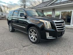 Cadillac Escalade salvage cars for sale: 2016 Cadillac Escalade Premium