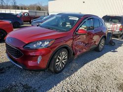 Salvage SUVs for sale at auction: 2020 Ford Escape Titanium