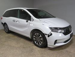 Honda Odyssey exl salvage cars for sale: 2023 Honda Odyssey EXL