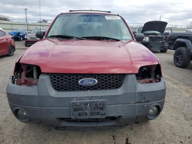 2005 Ford Escape XLT