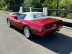 1995 Chevrolet Corvette