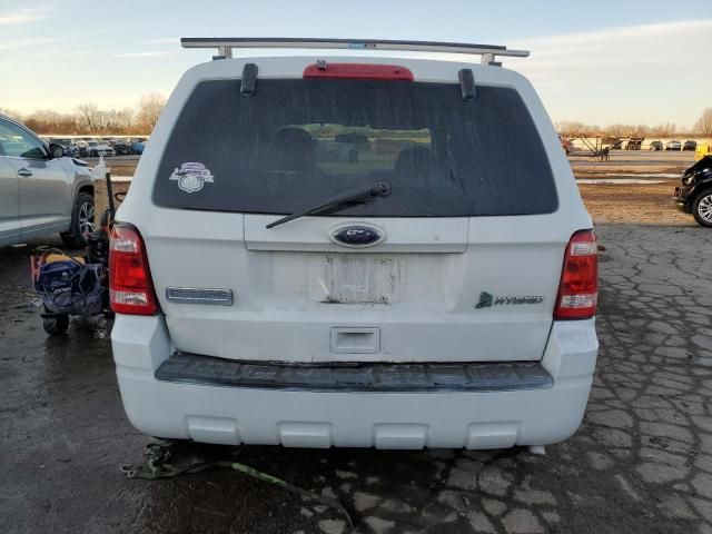 2011 Ford Escape Hybrid