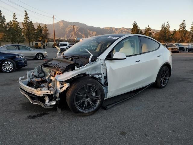 2025 Tesla Model Y