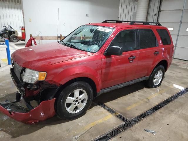 2010 Ford Escape XLT