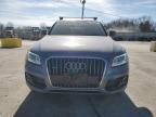 2014 Audi Q5 Premium Plus