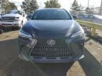 2023 Lexus NX 350