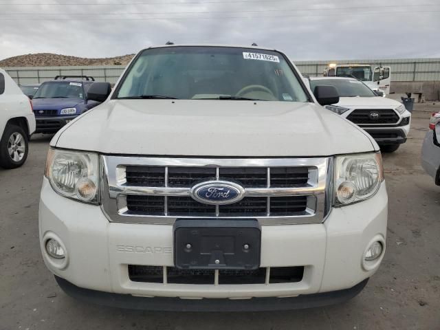 2012 Ford Escape XLT