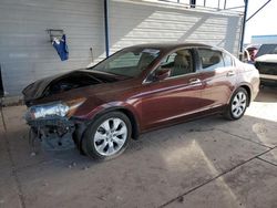 Honda salvage cars for sale: 2009 Honda Accord EXL