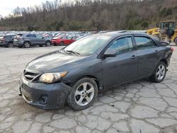 Toyota salvage cars for sale: 2011 Toyota Corolla Base