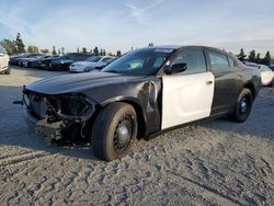 Dodge Vehiculos salvage en venta: 2019 Dodge Charger Police