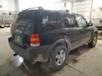 2002 Ford Escape XLT