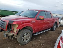 Salvage cars for sale at Brighton, CO auction: 2010 Ford F150 Supercrew