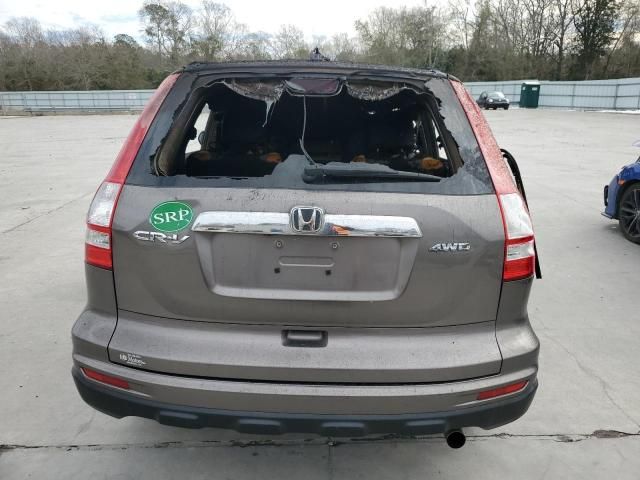 2010 Honda CR-V EXL