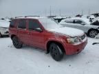 2007 Ford Escape Limited