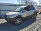 2007 Hyundai Tucson SE