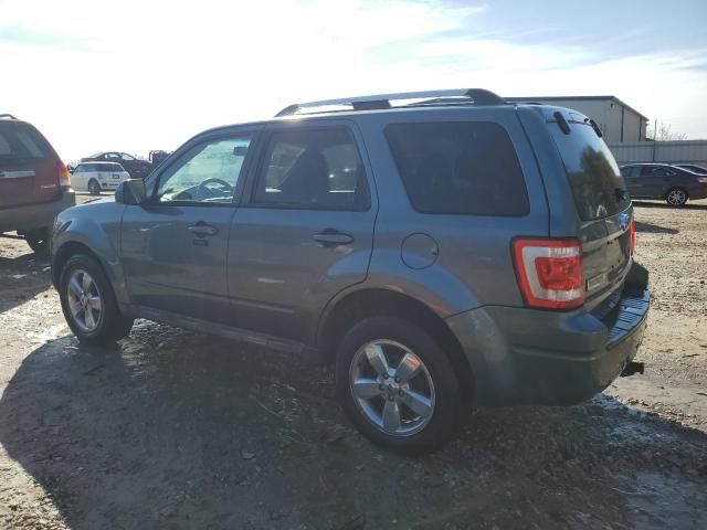 2010 Ford Escape Limited