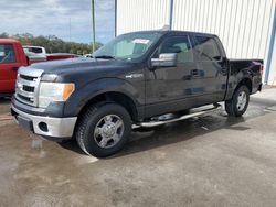 Salvage Cars with No Bids Yet For Sale at auction: 2013 Ford F150 Supercrew