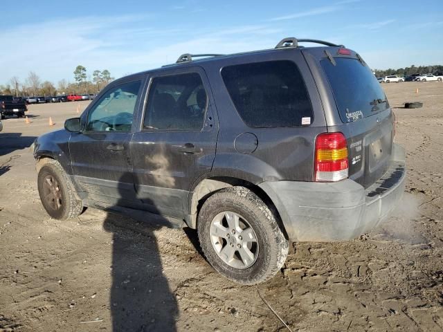 2005 Ford Escape XLT