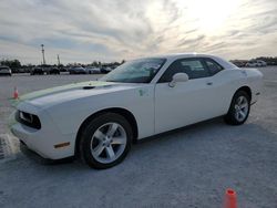 Dodge salvage cars for sale: 2009 Dodge Challenger R/T