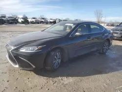 Salvage cars for sale at Kansas City, KS auction: 2019 Lexus ES 300H