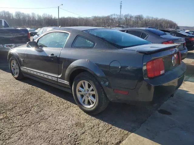 2009 Ford Mustang