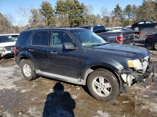 2009 Ford Escape XLT