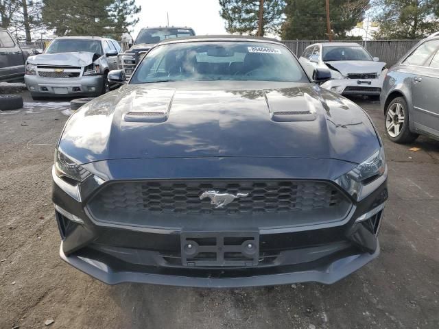 2019 Ford Mustang