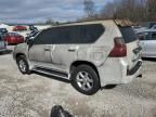 2011 Lexus GX 460 Premium