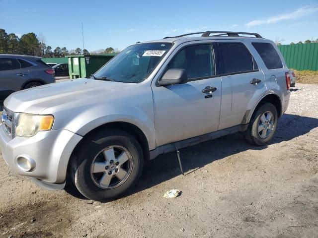 2011 Ford Escape XLT