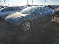 Salvage cars for sale at Elgin, IL auction: 2019 Tesla Model 3