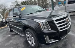 Cadillac salvage cars for sale: 2017 Cadillac Escalade ESV Luxury