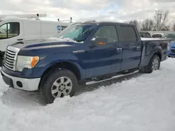 Ford F-150 salvage cars for sale: 2010 Ford F150 Supercrew