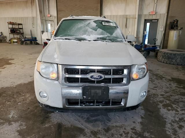 2011 Ford Escape Limited