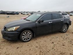 2011 Honda Accord EXL en venta en San Antonio, TX