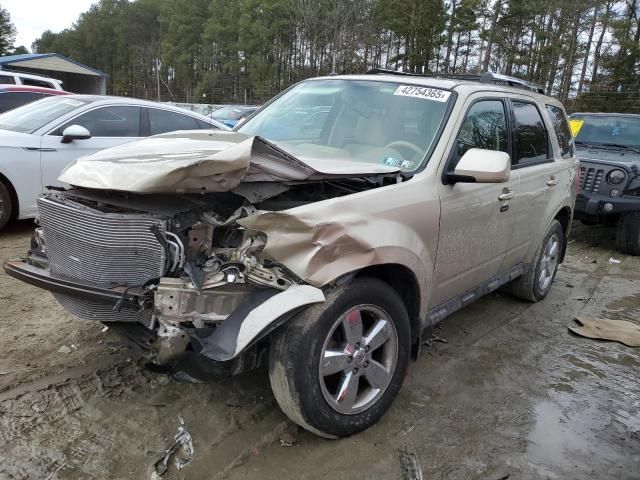 2011 Ford Escape Limited