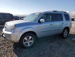 Honda Pilot Vehiculos salvage en venta: 2011 Honda Pilot EX