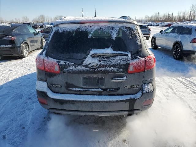 2008 Hyundai Santa FE SE