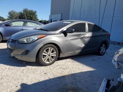 Hyundai salvage cars for sale: 2013 Hyundai Elantra GLS