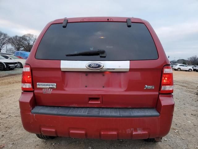 2010 Ford Escape Limited