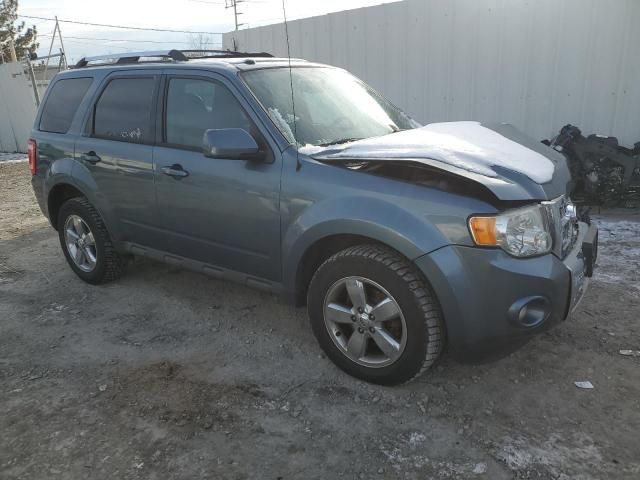 2011 Ford Escape Limited