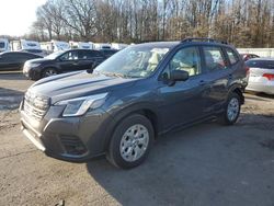 Salvage cars for sale at Glassboro, NJ auction: 2024 Subaru Forester