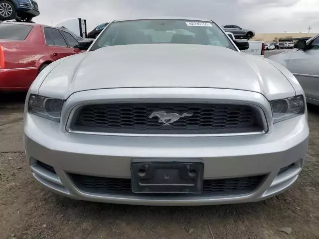 2013 Ford Mustang