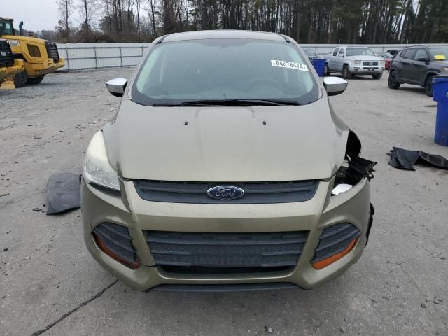 2013 Ford Escape S