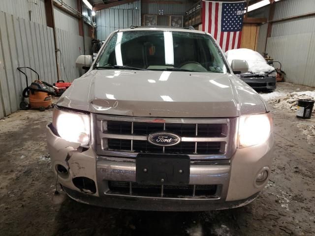 2011 Ford Escape Limited