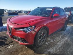 Salvage cars for sale at auction: 2020 Alfa Romeo Stelvio